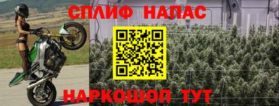 индика Наро-Фоминск