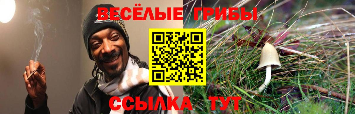 Галлюциногенные грибы прущие грибы  Галлюциногенные грибы ЛСД  Вход с VPN  Саянск 